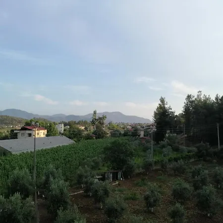 Holiday home Lilyum Evleri 3